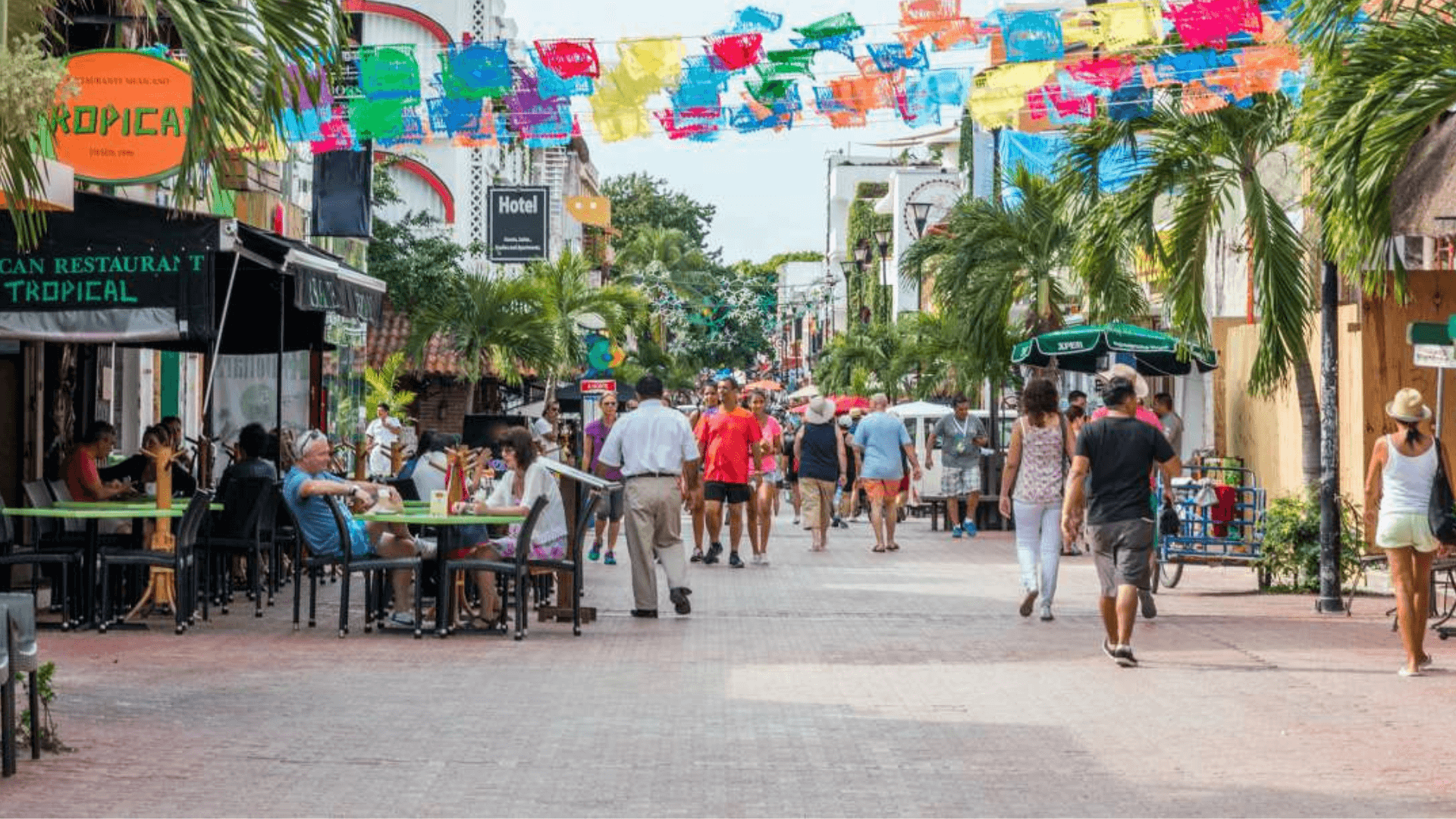 Recorrido por la quinta avenida la calle mas famosa de Playa del Carmen