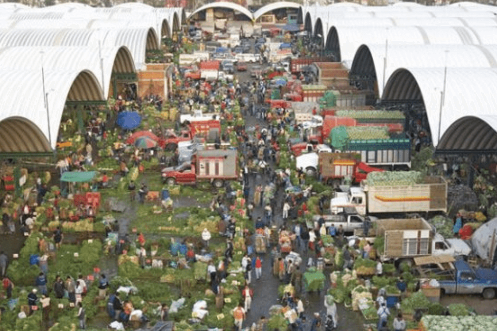 Comprando en el mercado mas grande del mundo la Central de Abastos en Mexico uai