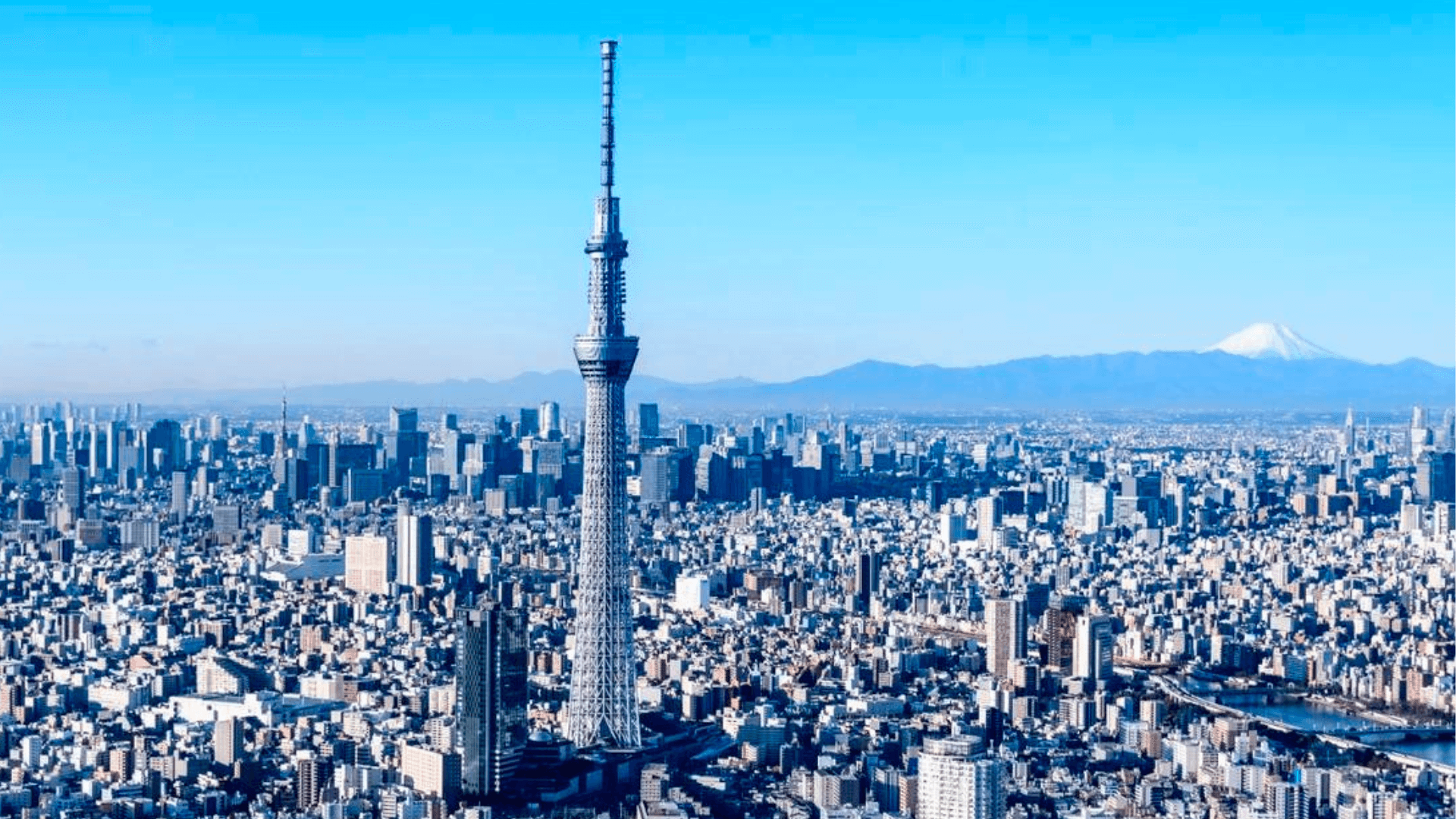 Vista de Japon desde la torre mas alta del mundo Tokyo Skytree